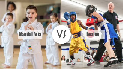 Martial Arts VS Boxing